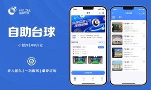 案例图1 视典案例:自助台球室小程序开发解决方案