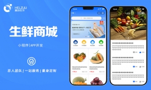 1 视典案例:生鲜商城小程序开发案例