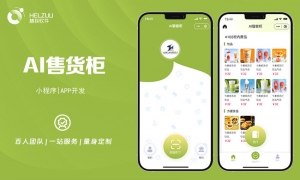 1 视典案例:自助售货机小程序开发案例